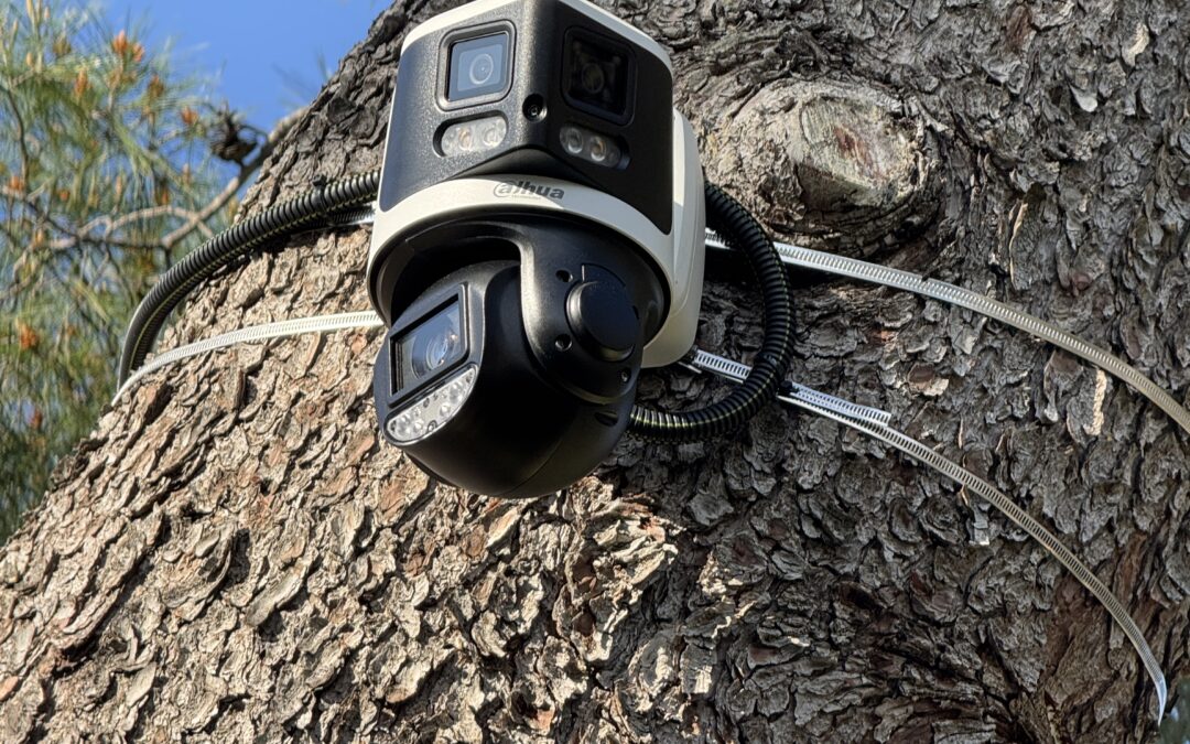 Optimisation d&rsquo;un système de vidéosurveillance dans une résidence à Marseille